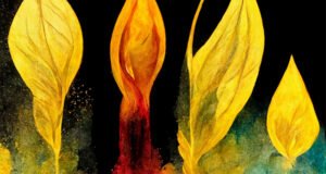 க.மோகனரங்கன் கவிதைகள்