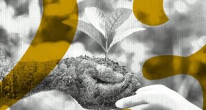 சுற்றுச்சூழல் பாதுகாப்பில் இந்தியா தன்னுடைய தலைமைப் பொறுப்பை எப்படி இழந்தது? ஸ்ரீதர் ராதாகிருஷ்ணன்,தமிழில் – ரா.பாலசுந்தர்