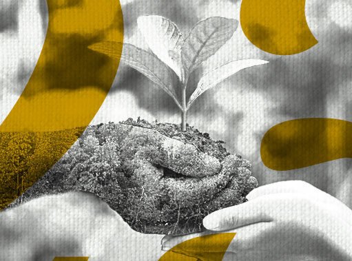 சுற்றுச்சூழல் பாதுகாப்பில் இந்தியா தன்னுடைய தலைமைப் பொறுப்பை எப்படி இழந்தது? ஸ்ரீதர் ராதாகிருஷ்ணன்,தமிழில் – ரா.பாலசுந்தர்