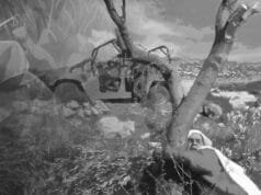 காசா கவிதைகள்