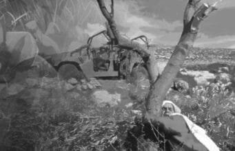 காசா கவிதைகள்